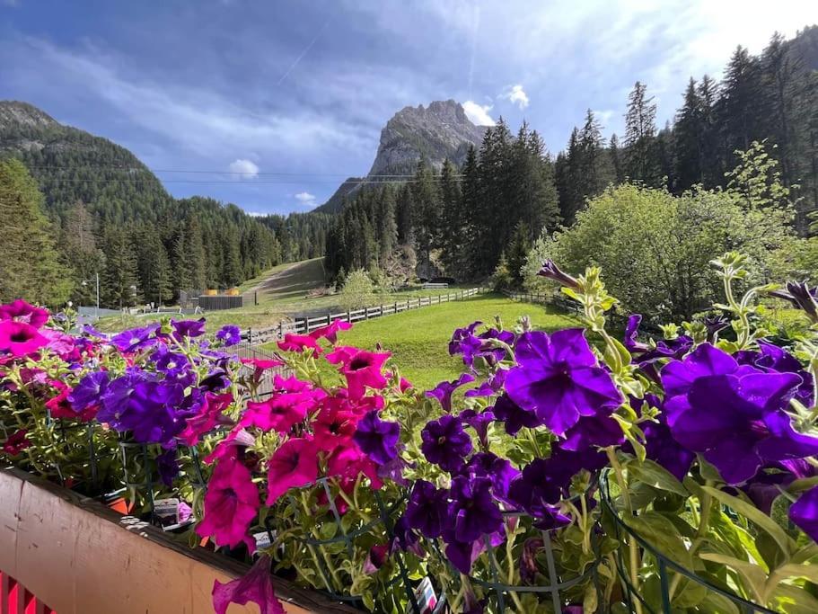 Sellaronda - Ciampac Experience Lägenhet Alba di Canazei Exteriör bild