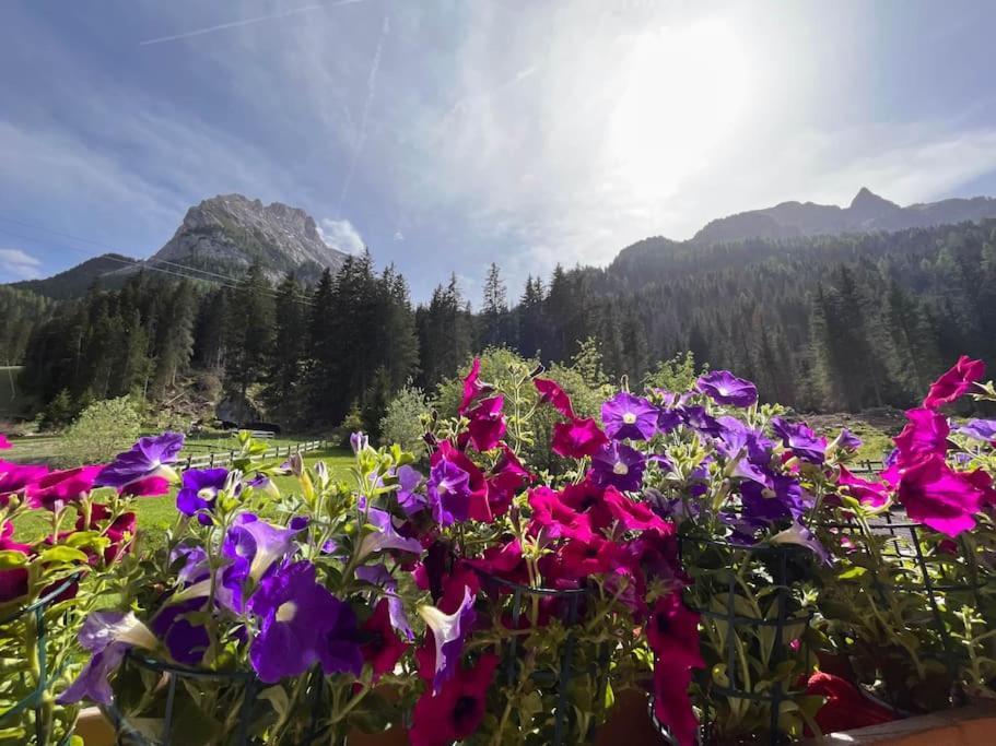 Sellaronda - Ciampac Experience Lägenhet Alba di Canazei Exteriör bild
